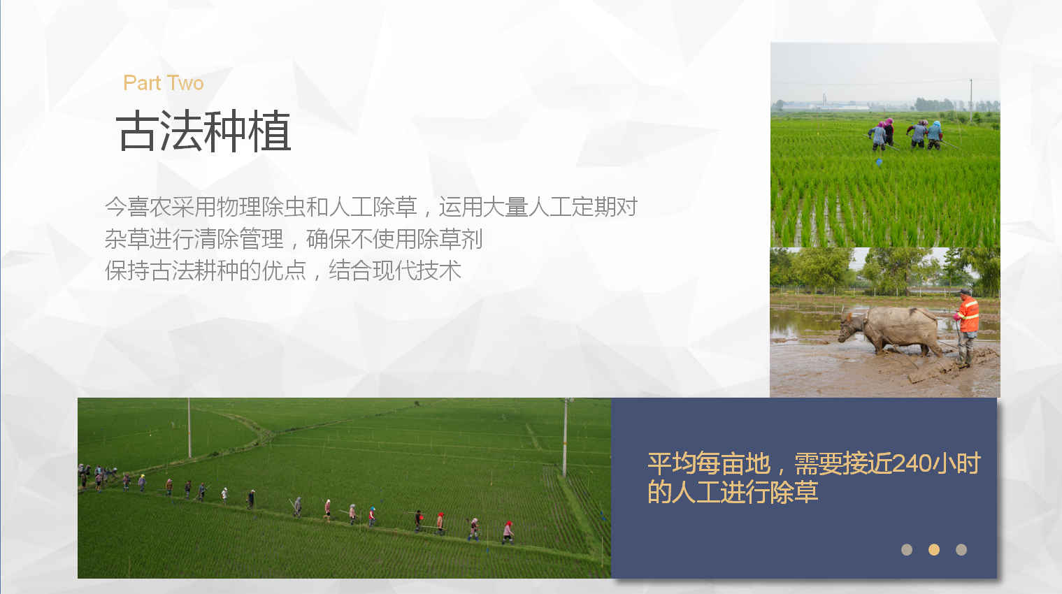 31ad65035bb6cff49c6d03488999e17c_.png 31ad65035bb6cff49c6d03488999e17c_.png