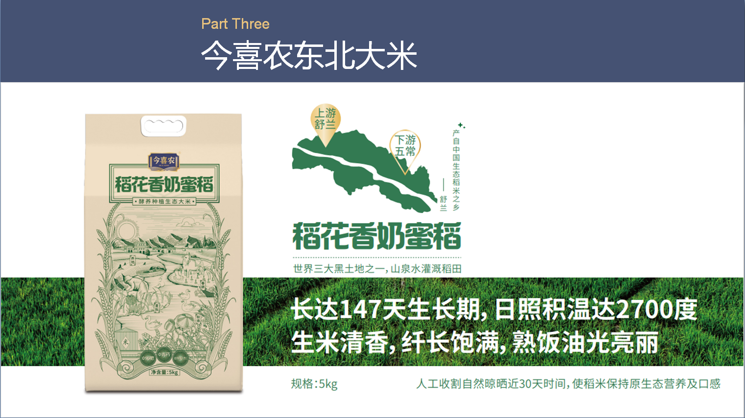 ae52b19331241f637280174caa7c2c7a_.png ae52b19331241f637280174caa7c2c7a_.png