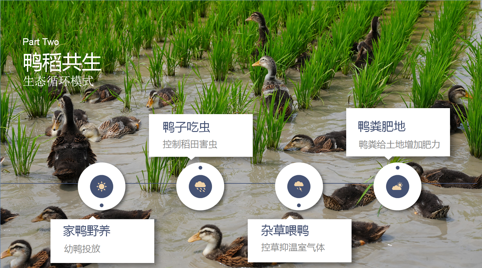 0ae3779c5165bc3fe80618eb9392c8b0_.png 0ae3779c5165bc3fe80618eb9392c8b0_.png